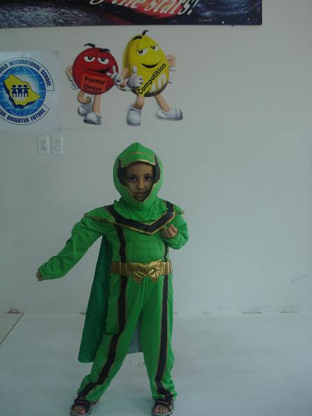 fancy dress 035.jpg